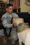 Dog and owner help relieve battle stress for deployed soldiers DVIDS479223....