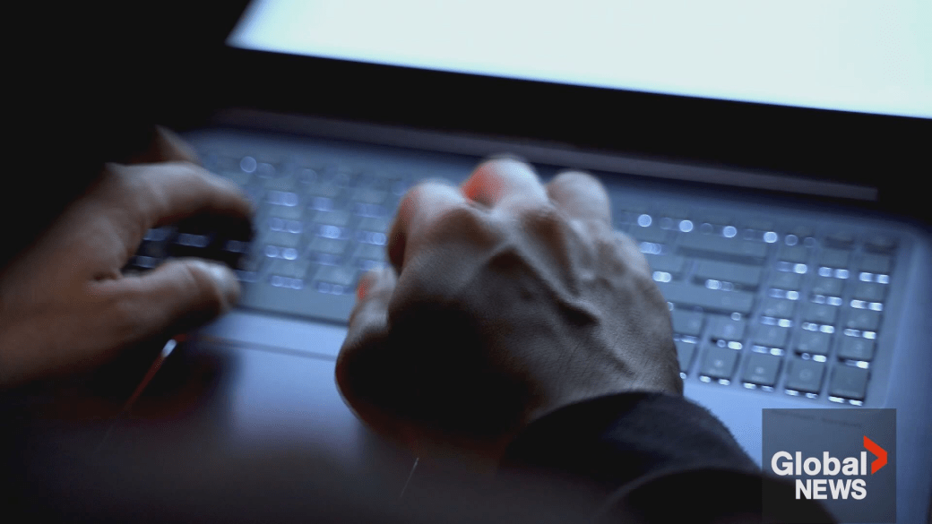 Click to play video: 'B.C. takes steps to protect people from online harms'