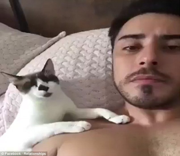 Pals: In the video the topless cat lover is seen enjoying some quality time with his feline friend on a bed 