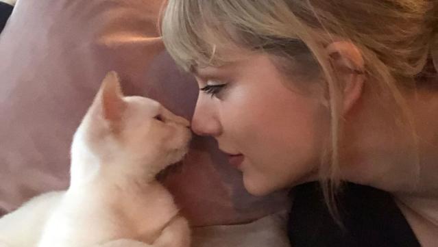 Taylor Swift Gave 'Queer Eye' JVN's Kitty This Amazing 'GOT' Nickname