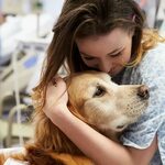 Why Are Dogs Good for Mental Health? 