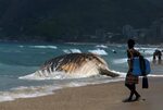 MAGNIFICENT DEAD: A dead whale on the shore of the Ipanema beach in Rio de ...