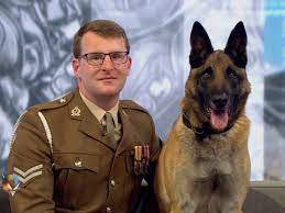 Mali the British Army Dog Wins Dickin Medal for Valour in Afghanistan