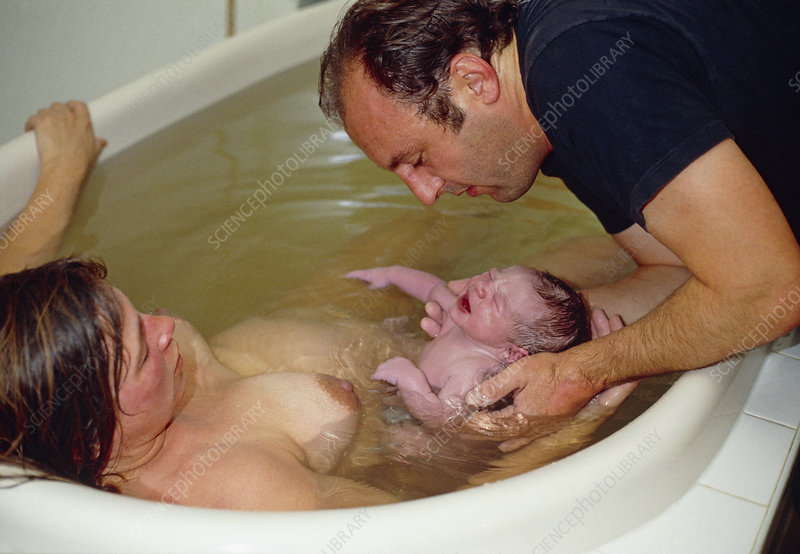 Water birth - Stock Image - M810/0376 - Science Photo Library